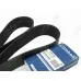Ремень поликлиновой 18PK1800 EPDM GLOBELT