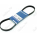Ремень поликлиновой 5PK975 EPDM GLOBELT
