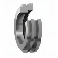 Уплотнение корпуса TSN 3034 S SKF
