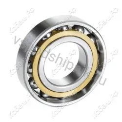 Подшипник шариковый W 61700 R SKF