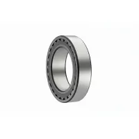 Подшипник роликовый DINROLL NN3013KTN/SPW33