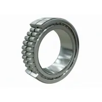 Подшипник роликовый SL045005 INA