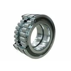 Подшипник роликовый SL045013-PP-2NR INA