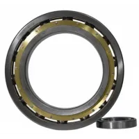 Подшипник шариковый FBC 164 Л