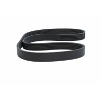 Ремень поликлиновой 6PK1800 EPDM GLOBELT