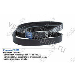 Ремень поликлиновой 6PK1005 EPDM GLOBELT