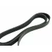 Ремень поликлиновой 7PK1640 EPDM GLOBELT