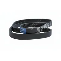 Ремень поликлиновой 6PK1230 EPDM GLOBELT
