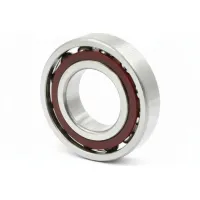 Подшипник шариковый NTL 3204-2RS