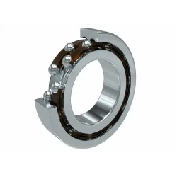 Подшипник шариковый 4200TN FBJ