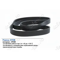 Ремень поликлиновой 6PK800 EPDM GLOBELT