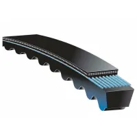 Ремень клиновой зубчатый XPZ-937 Lp RUBENA