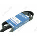 Ремень поликлиновой 8PK1815 EPDM GLOBELT