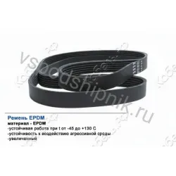 Ремень поликлиновой 8PK1160 EPDM GLOBELT