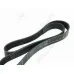 Ремень поликлиновой 8PK1160 EPDM GLOBELT