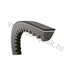 Ремень клиновой зубчатый ВХ-1037 HIMPT