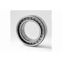 Подшипник роликовый SL185009 DINROLL