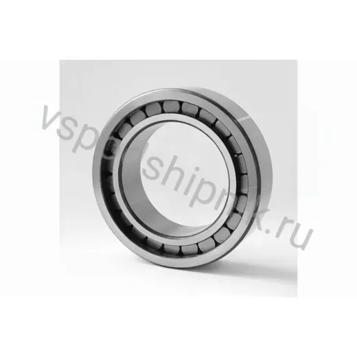 Подшипник роликовый SL185009 DINROLL