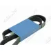 Ремень поликлиновой 8PK1025 EPDM GLOBELT