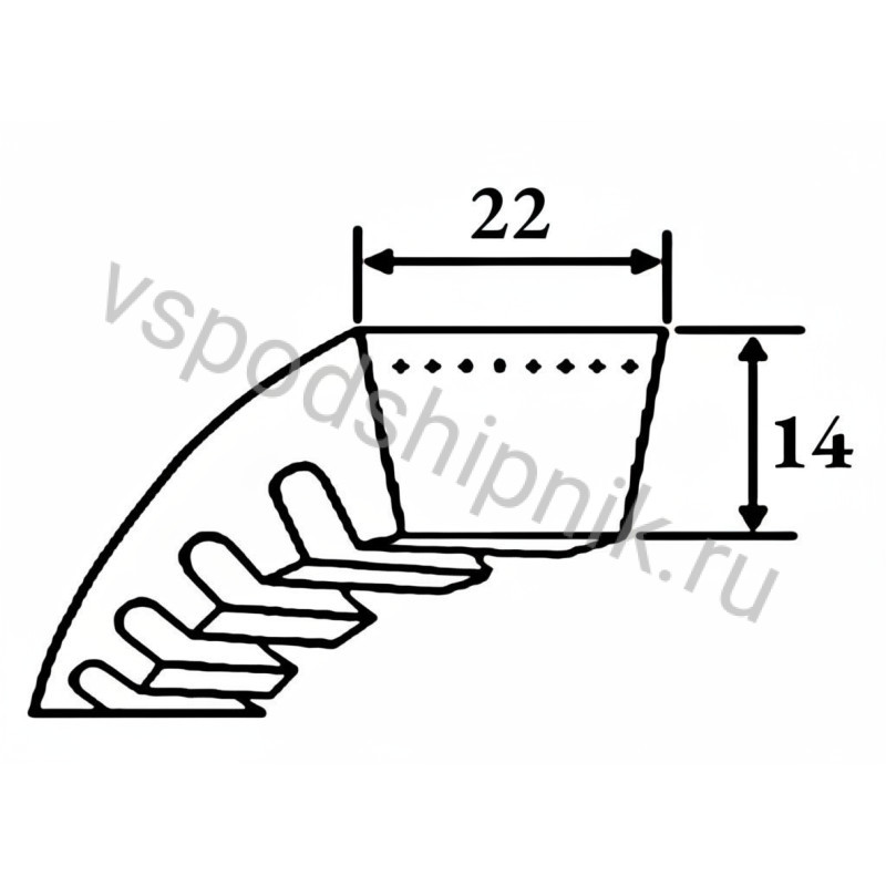 Ремень клиновой CX 59 Ld=1558 мм SWR 360