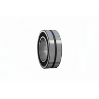 Подшипник роликовый LFR5301-10-2Z INA