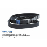 Ремень поликлиновой 6PK1565 EPDM GLOBELT