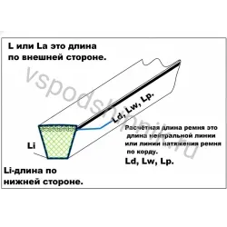 Ремень клиновой многоручьевой SPA 1000 Ld ContiTech