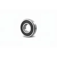 Подшипник роликовый SL045005-D-PP INA
