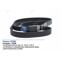 Ремень поликлиновой 6PK1555 EPDM GLOBELT