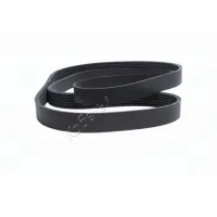 Ремень поликлиновой 6PK1555 EPDM GLOBELT