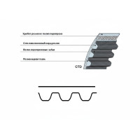 Ремень зубчатый STD 1280 8М CXP 85