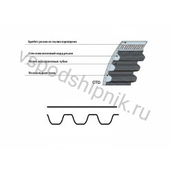 Ремень зубчатый STD 1200 8М CXP 85