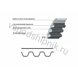Ремень зубчатый STD 1000 8М CXP 20