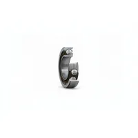Подшипник шариковый 6219-M SKF