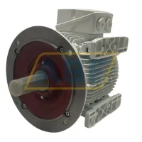 Электродвигатель 1LE1011-1CP29-0ZA5-Z Siemens