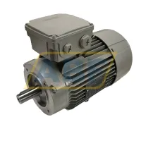 Электродвигатель 1LE1023-0EB02-2KA4 Siemens