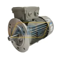 Электродвигатель 1LE1023-0EC02-2FA4-Z Siemens