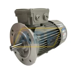 Электродвигатель 1LE1023-0EC02-2FA4-Z Siemens