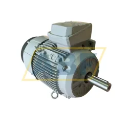 Электродвигатель 1LE1501-1DB22-2CA5-Z Siemens