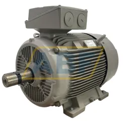 Электродвигатель 1LE1501-2AC53-4AA4 Siemens