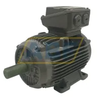 Электродвигатель 1LE1503-1AB42-2AA4-Z Siemens