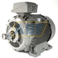 Электродвигатель 1LE1503-2DB09-0AB4-Z Siemens, 86 кВт