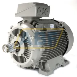Электродвигатель 1LE1503-2DB09-0AB4-Z Siemens, 86 кВт