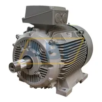 Электродвигатель 1LE1503-2DC03-4AB4 Siemens