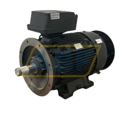Электродвигатель 1LE1504-2BB09-0JB4-Z Siemens