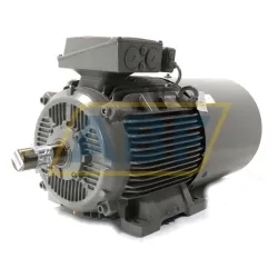 Электродвигатель 1LE1603-2BD23-4AK4-Z Siemens, 22 кВт