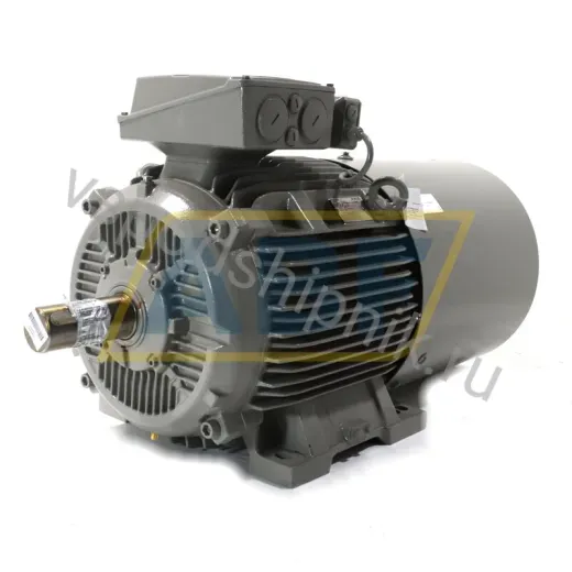 Электродвигатель 1LE1603-2BD23-4AK4-Z Siemens, 22 кВт