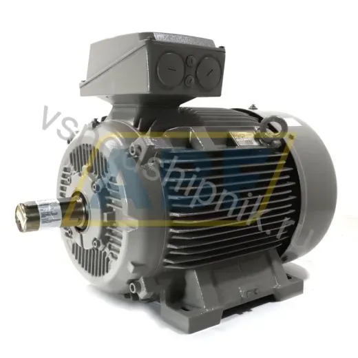 Электродвигатель 1LE1603-2CB23-4AB4 Siemens, 55 кВт