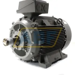 Электродвигатель 1LE1603-2DB03-4AB4 Siemens, 75 кВт