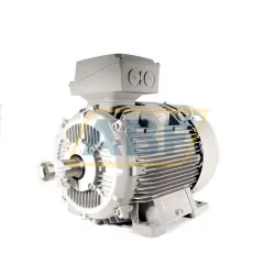 Электродвигатель 1LE1603-3AB03-4AB4 Siemens, 110 кВт